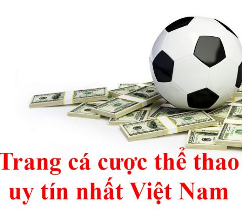Trang cá cược thể thao uy tín nhất Việt Nam