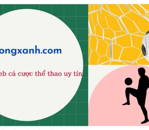 Giới thiệu về trang web cá cược Bongxanh.com