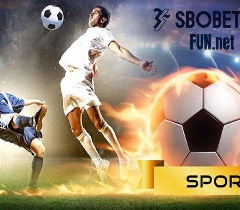 Cá cược bóng đá ăn tiền thật cùng Sbobetfun.net