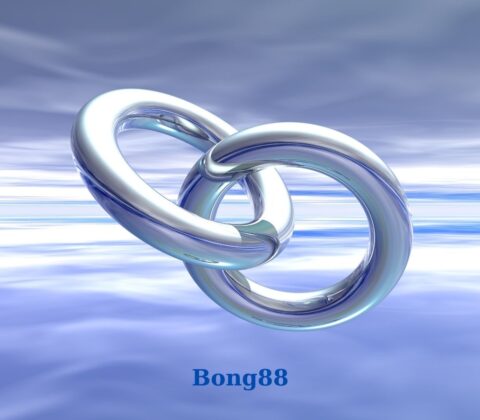 Linkvaobong88.me chia sẻ link vào Bong88 không chặn mới nhất